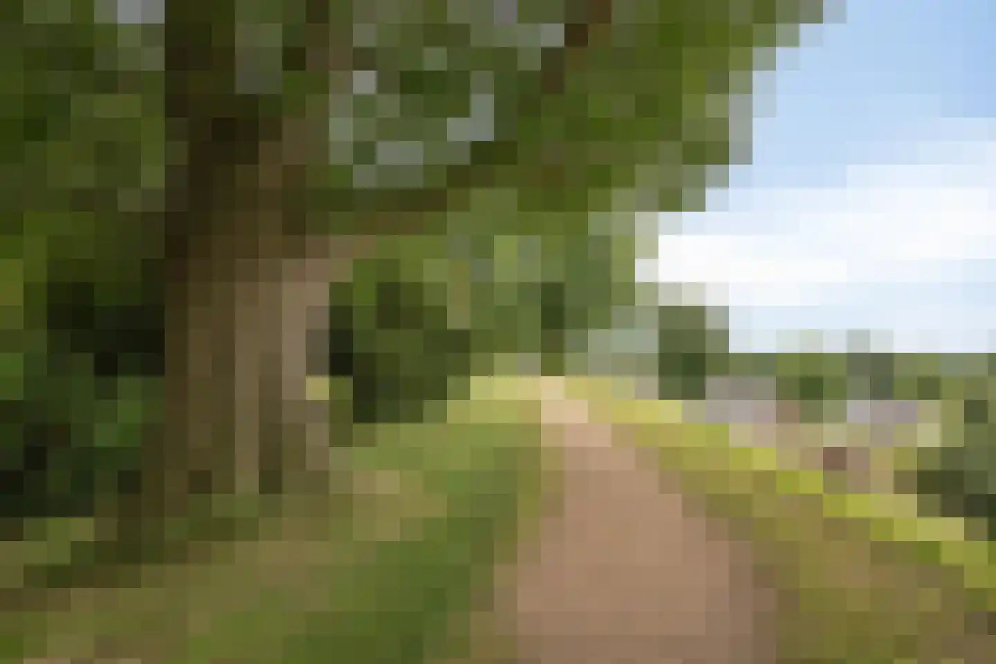 Hamstraat 35 Grave thumbnail 23