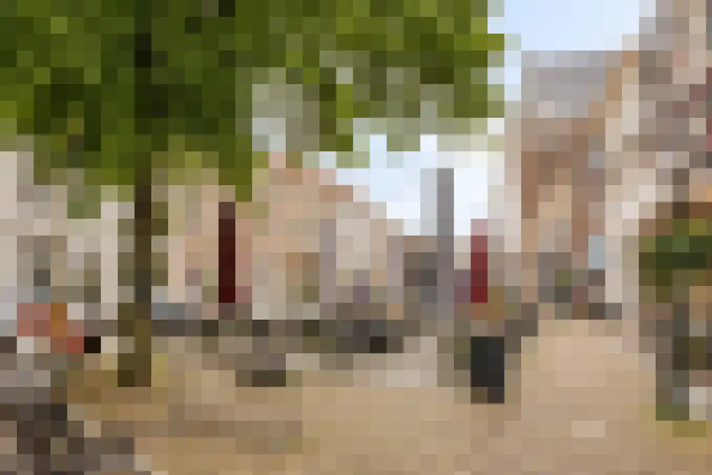 Hamstraat 35 Grave thumbnail 25