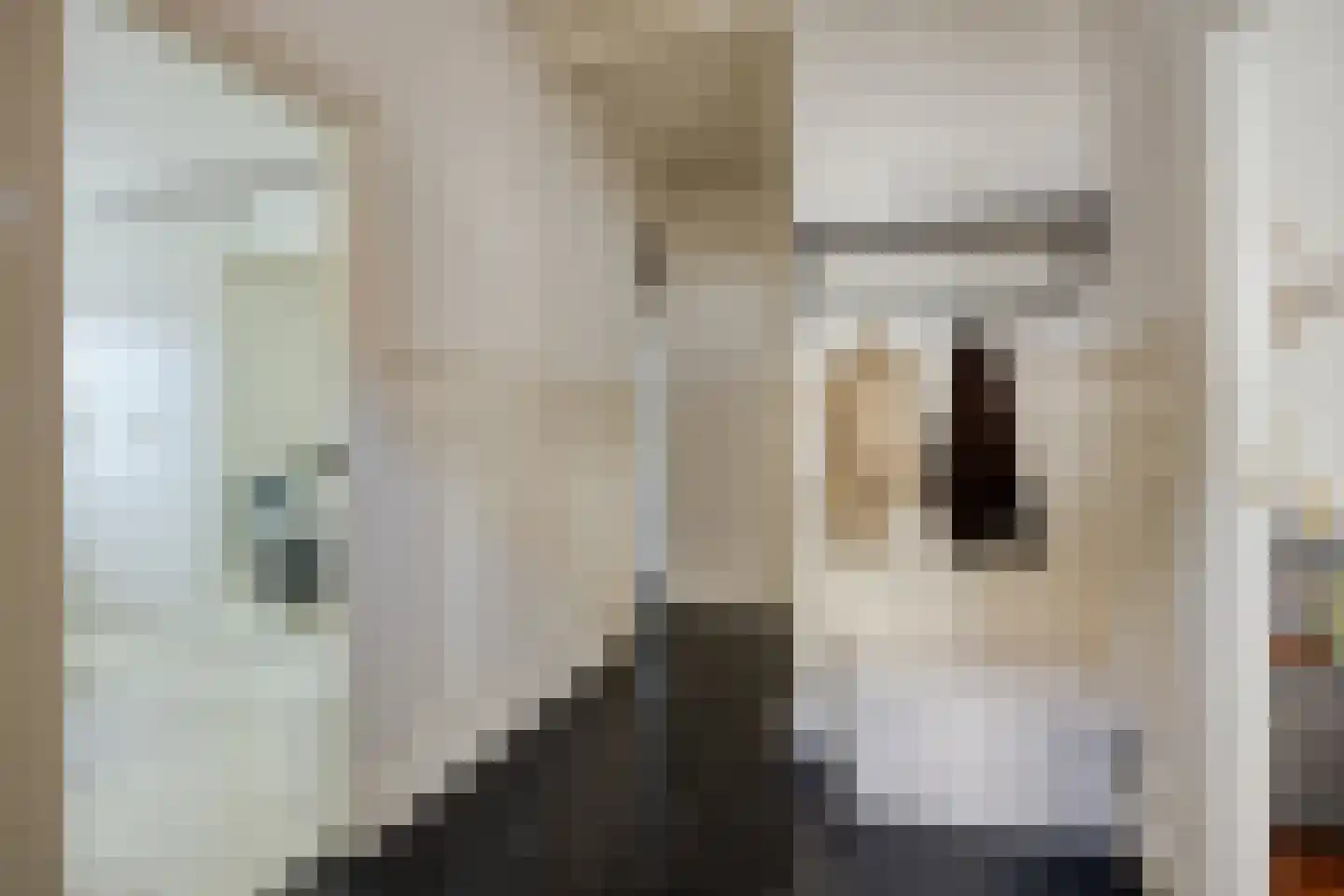 Hamstraat 35 Grave thumbnail 6