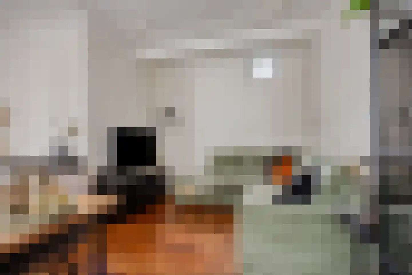 Hamstraat 35 Grave thumbnail 8
