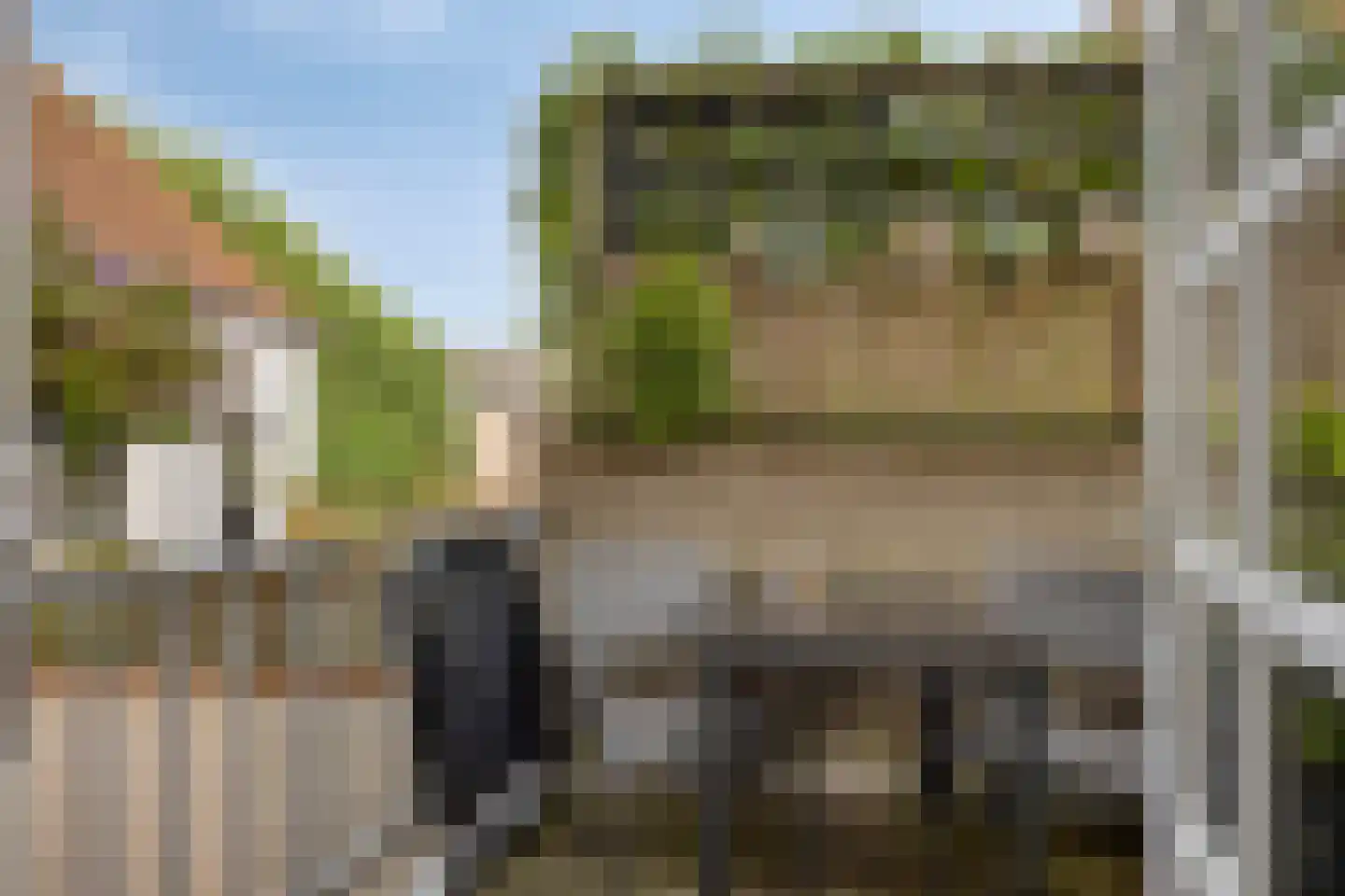Hamstraat 7 Grave thumbnail 25