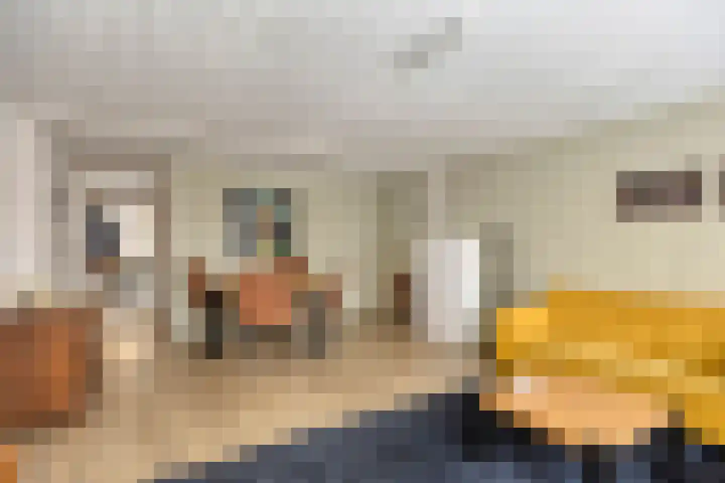 Hamstraat 7 Grave thumbnail 4