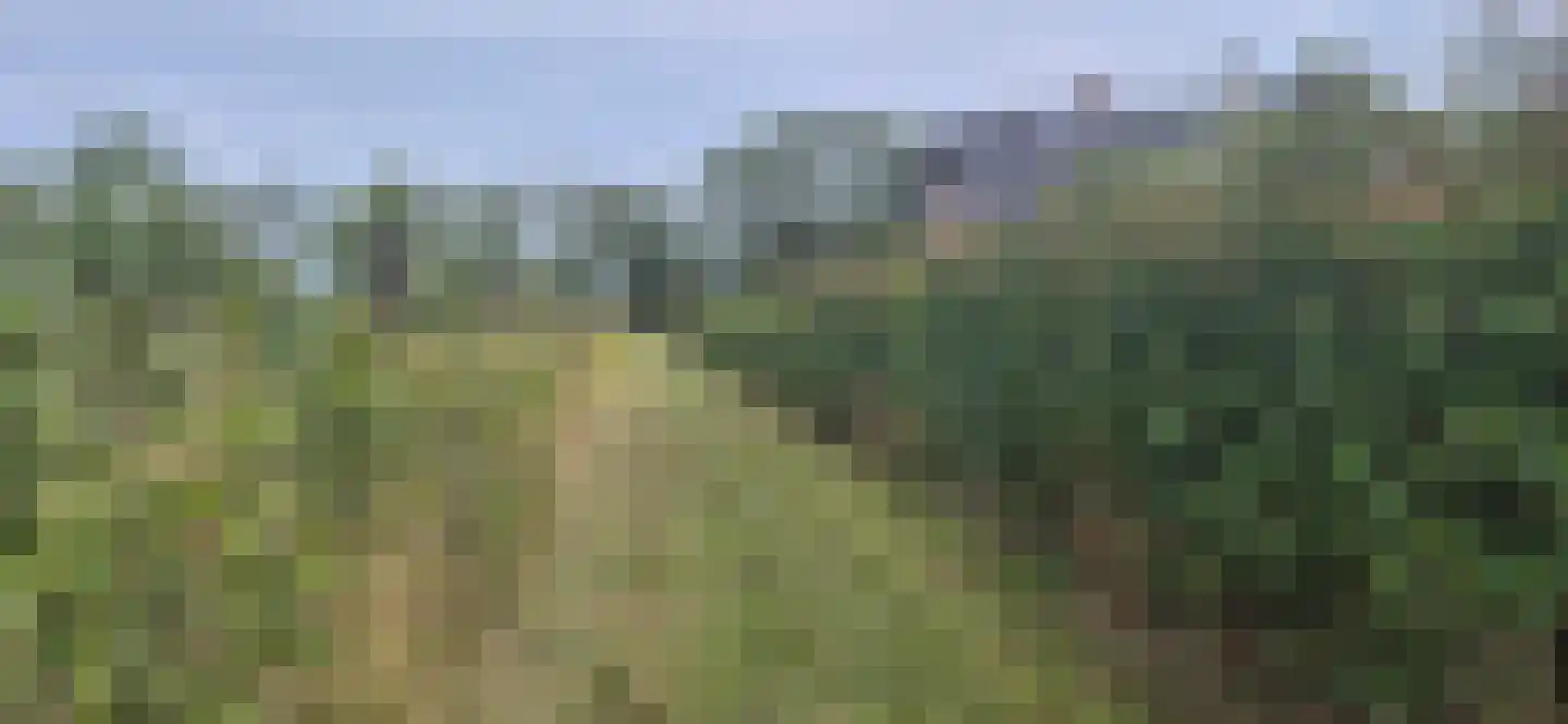 Hamstrastraat 4 Oijen thumbnail 6