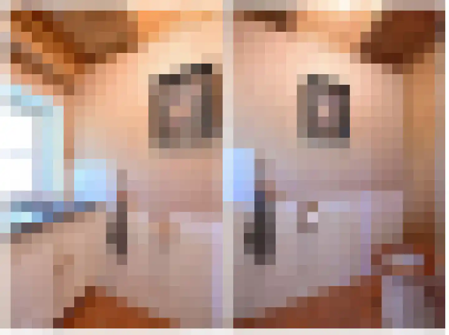 Hamsveldsezijweg 4 Vorden thumbnail 10