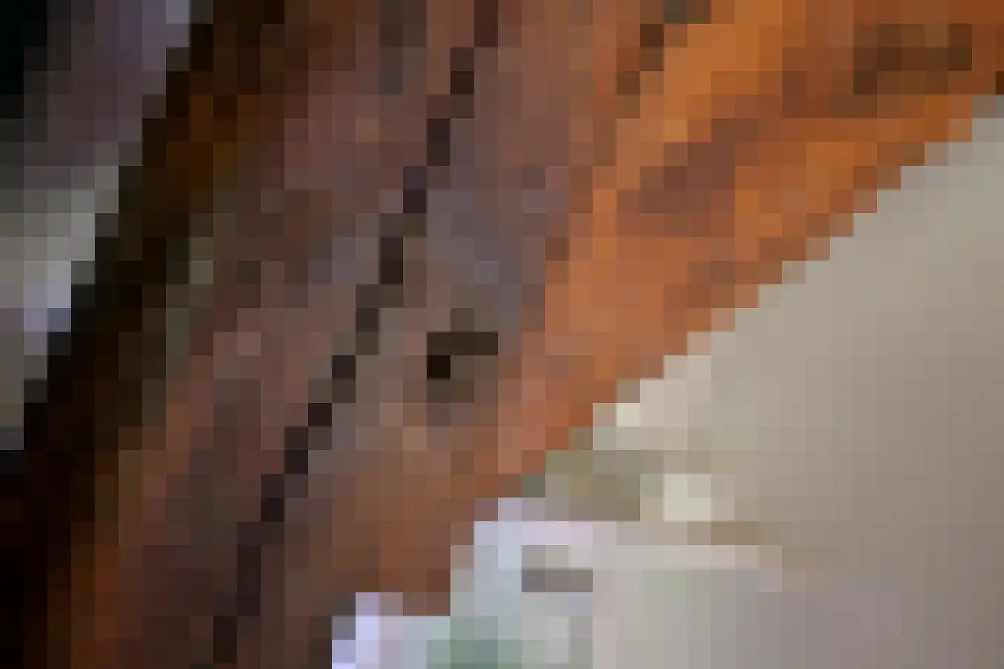 Hamsveldsezijweg 4 Vorden thumbnail 13