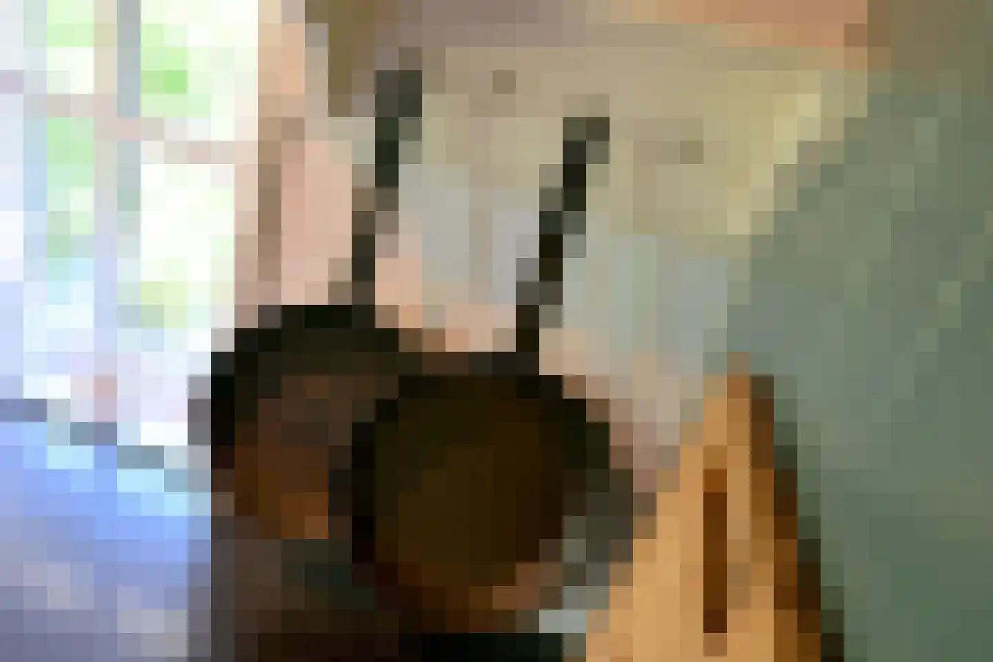 Hamsveldsezijweg 4 Vorden thumbnail 15