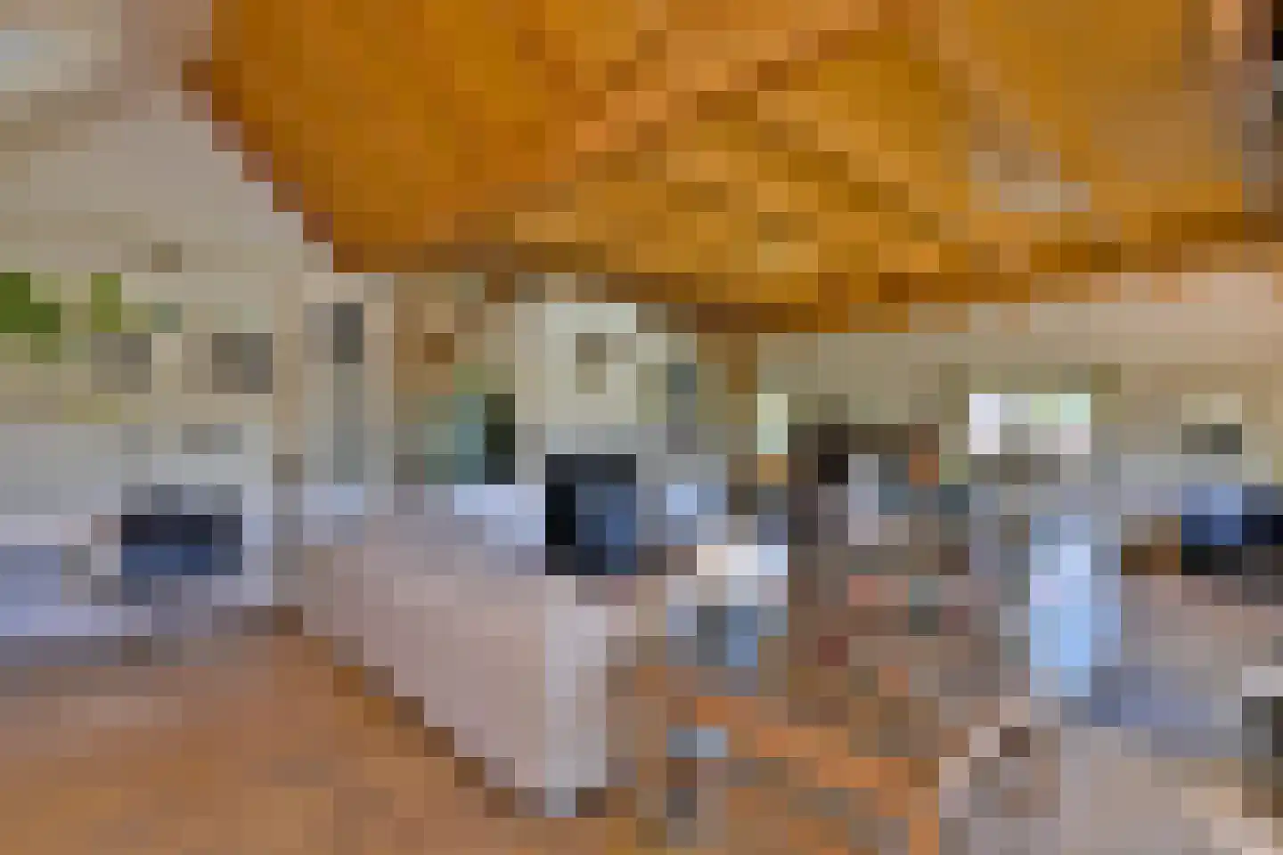 Hamsveldsezijweg 4 Vorden thumbnail 22