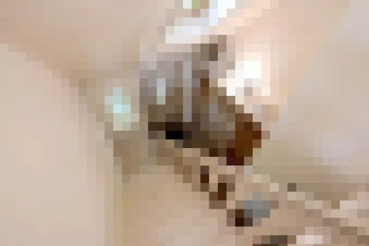 Hamsveldsezijweg 4 Vorden thumbnail 24