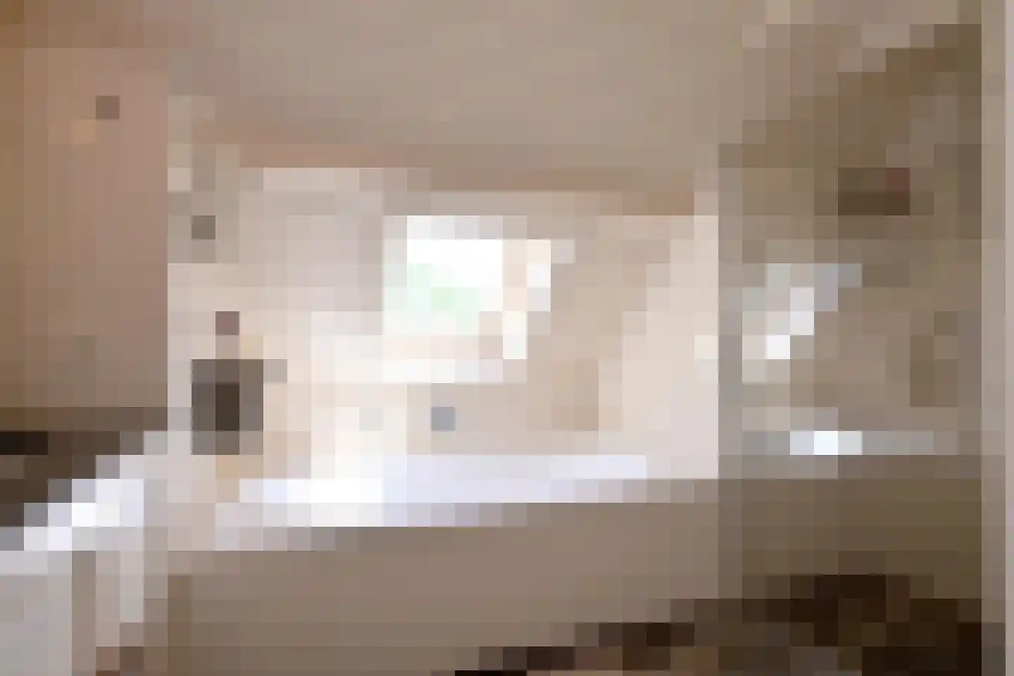 Hamsveldsezijweg 4 Vorden thumbnail 28