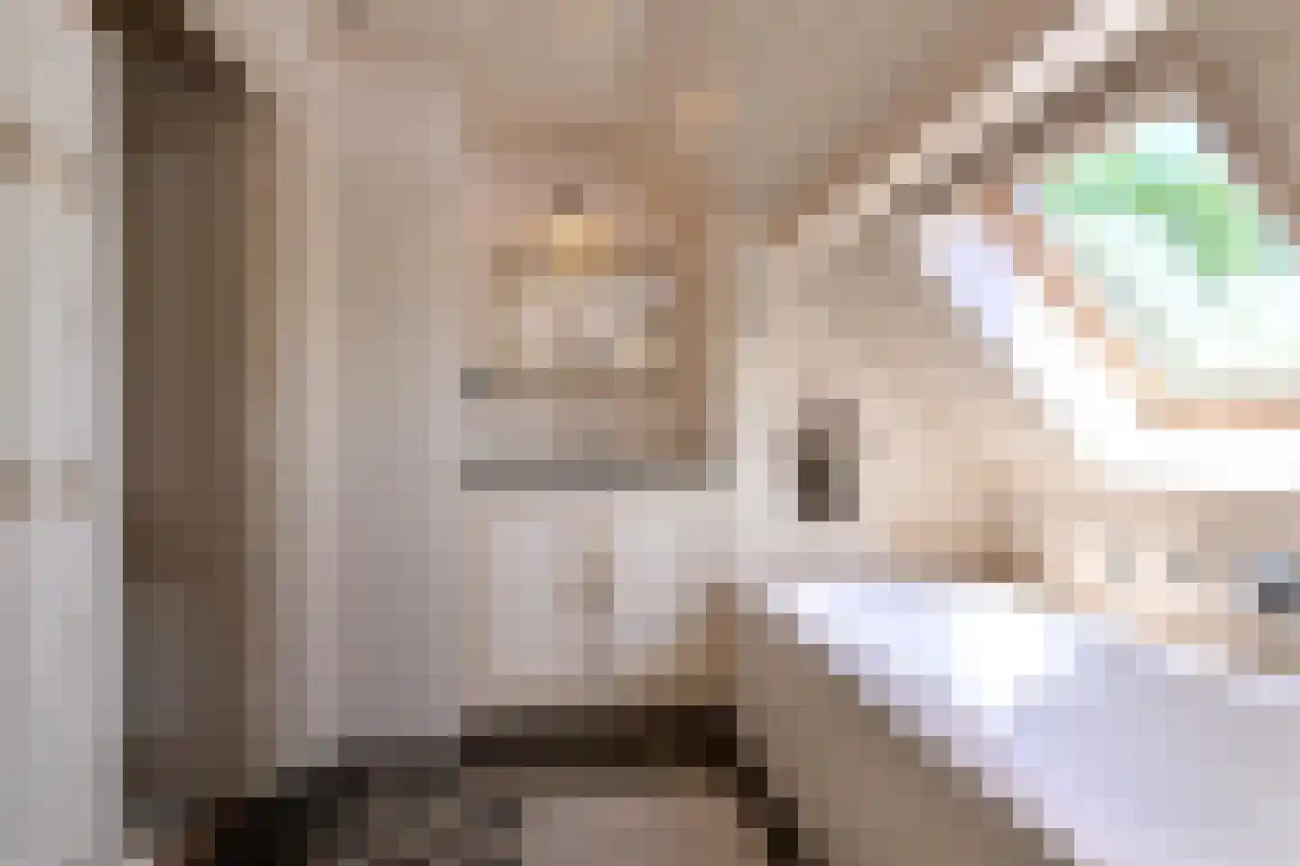 Hamsveldsezijweg 4 Vorden thumbnail 29