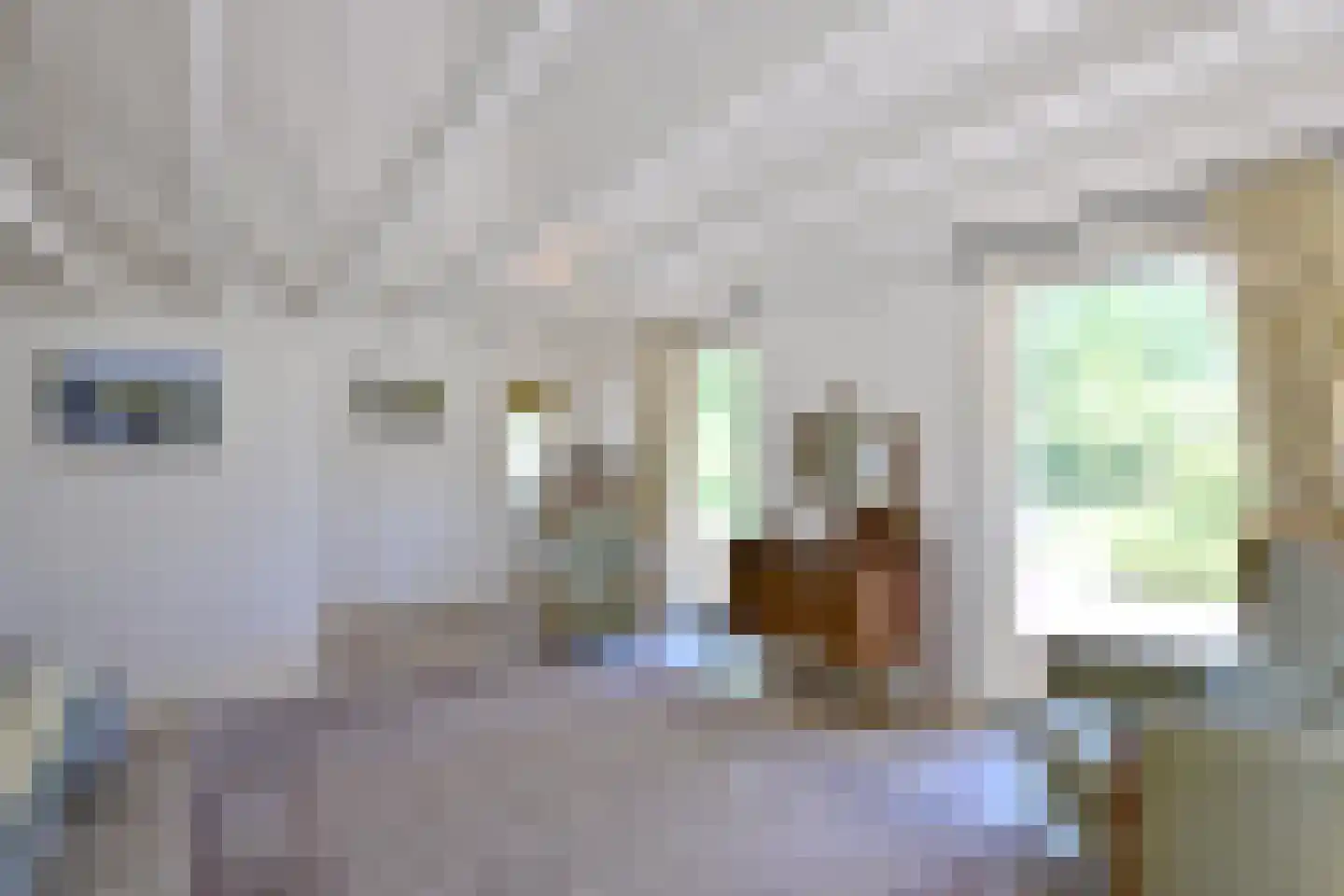 Hamsveldsezijweg 4 Vorden thumbnail 34