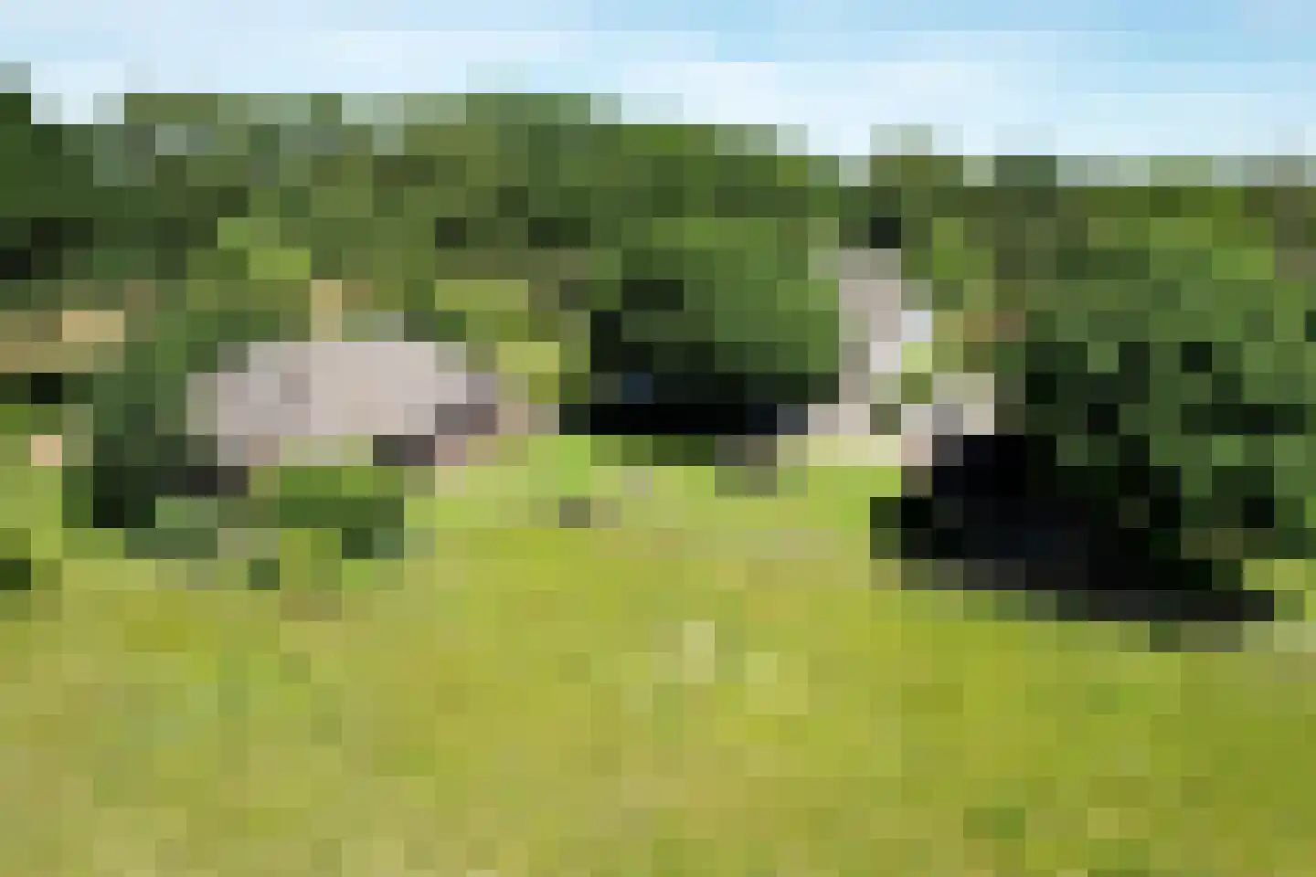 Hamsveldsezijweg 4 Vorden thumbnail 4
