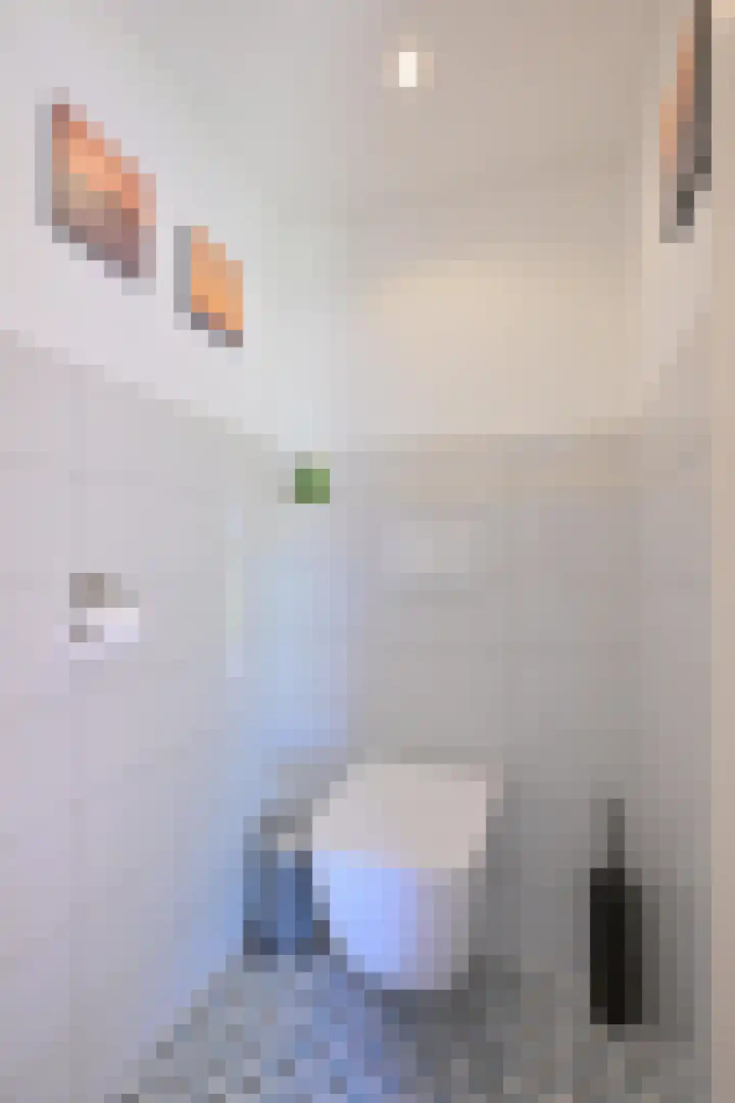 Hamsveldsezijweg 4 Vorden thumbnail 40