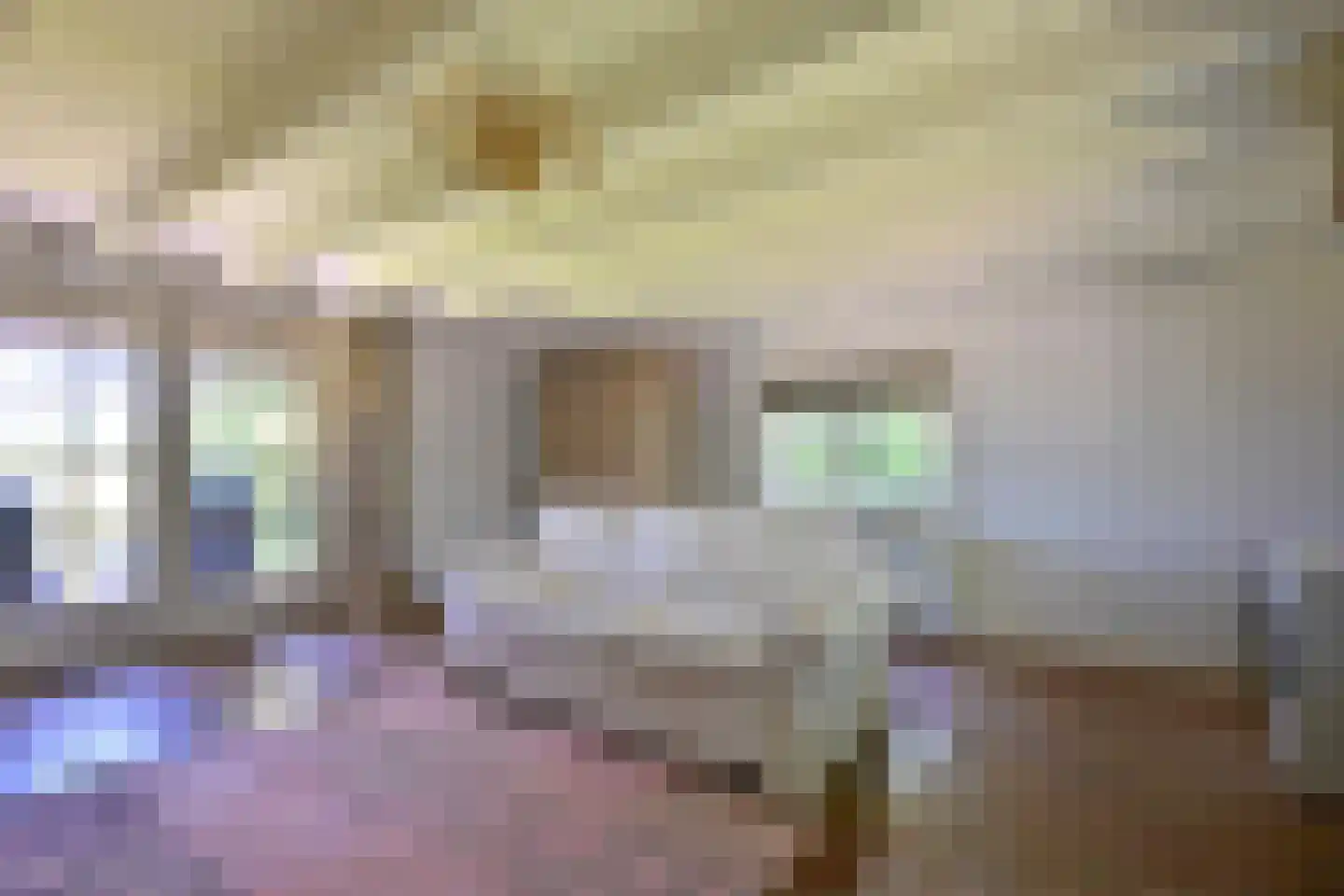 Hamsveldsezijweg 4 Vorden thumbnail 43