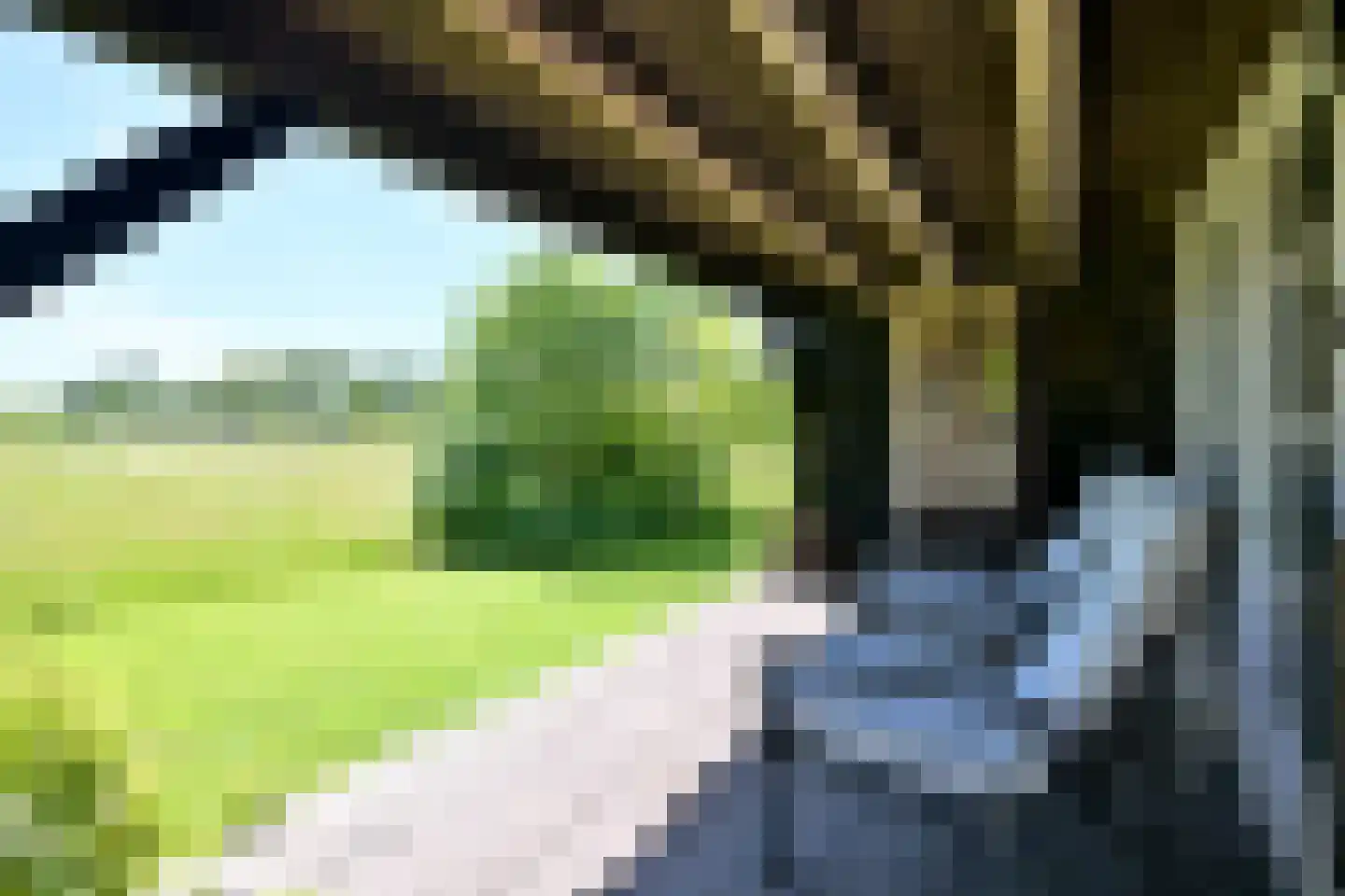 Hamsveldsezijweg 4 Vorden thumbnail 44
