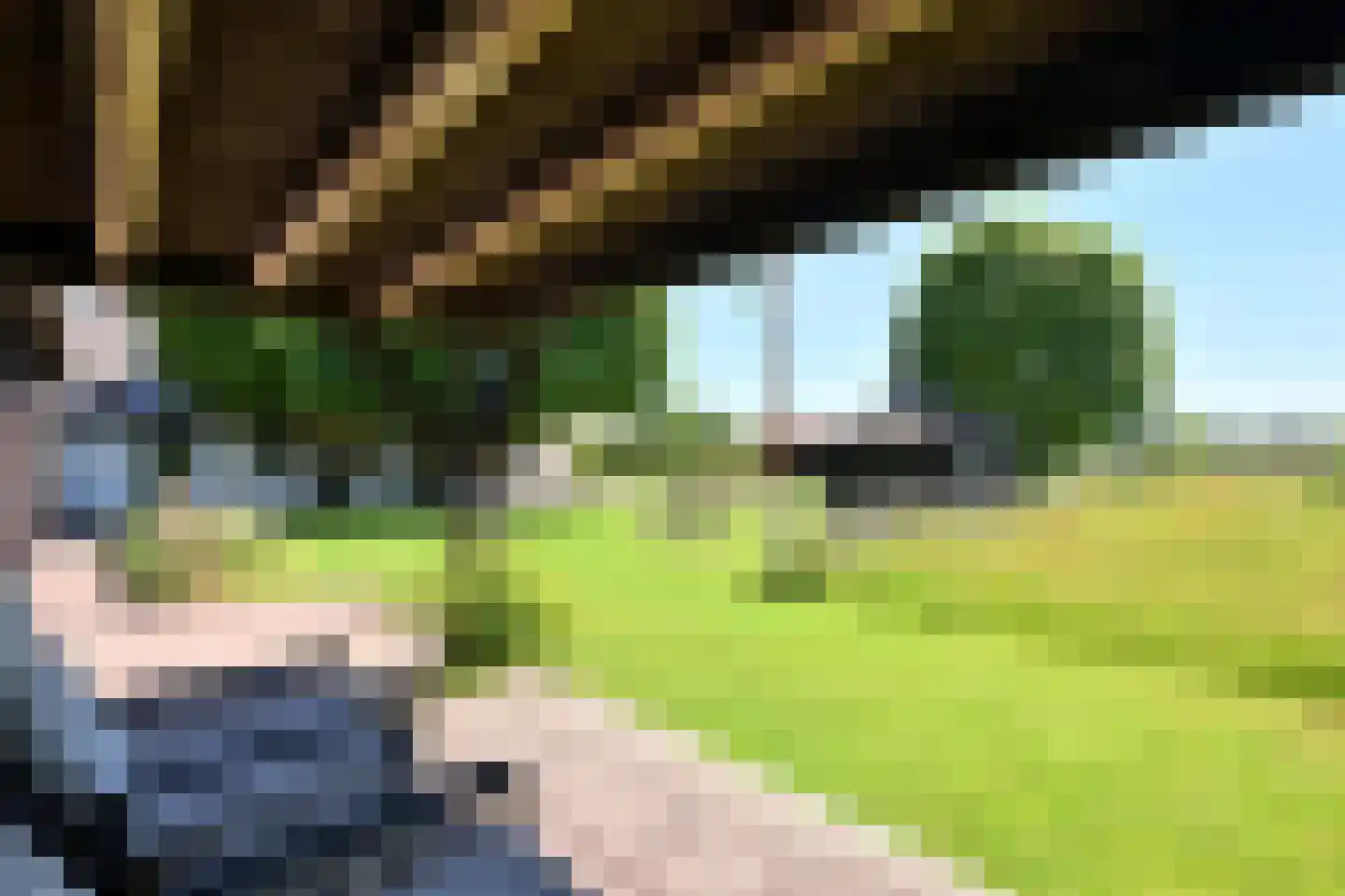 Hamsveldsezijweg 4 Vorden thumbnail 45