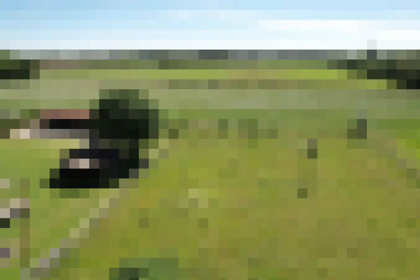 Hamsveldsezijweg 4 Vorden thumbnail 5