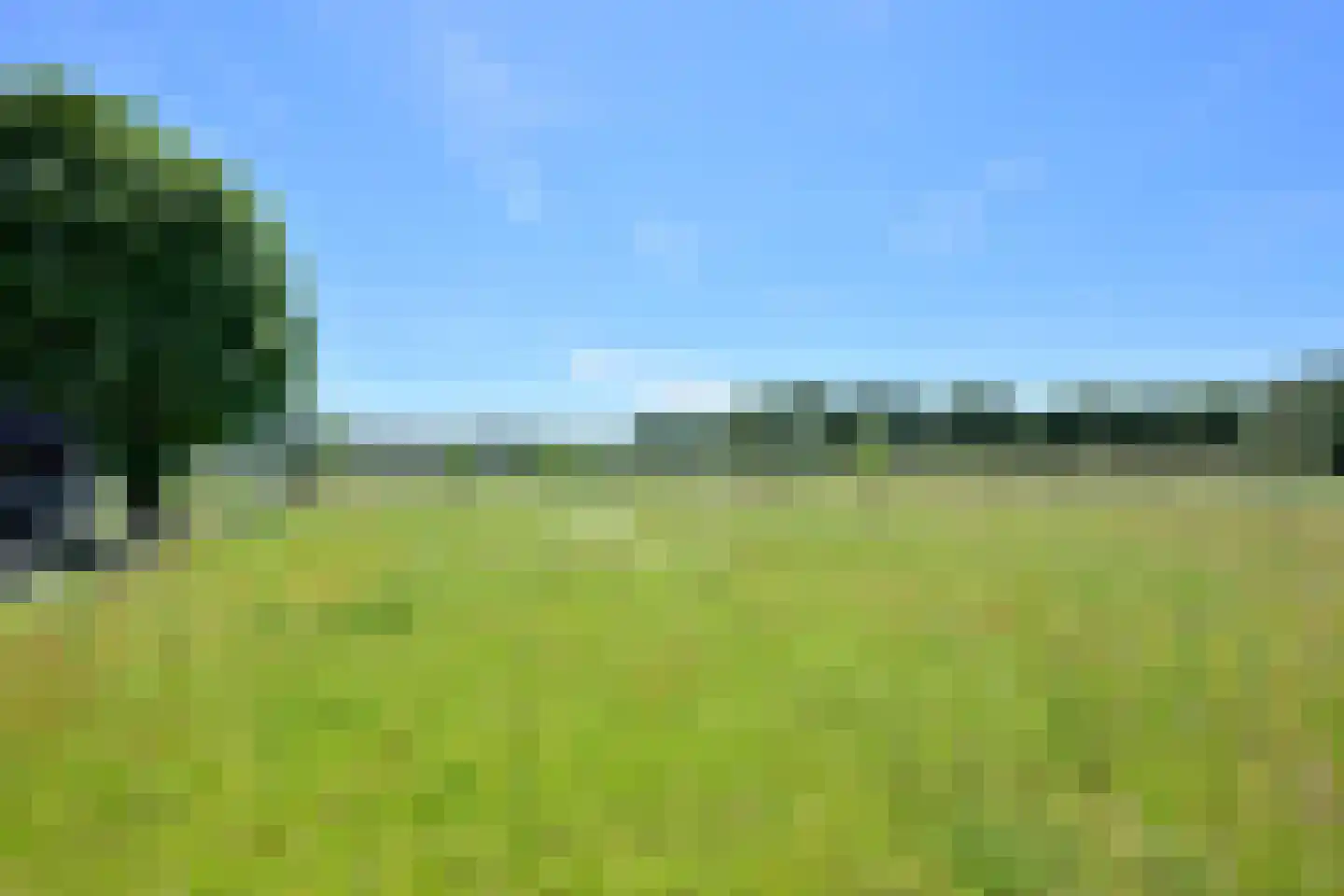 Hamsveldsezijweg 4 Vorden thumbnail 52