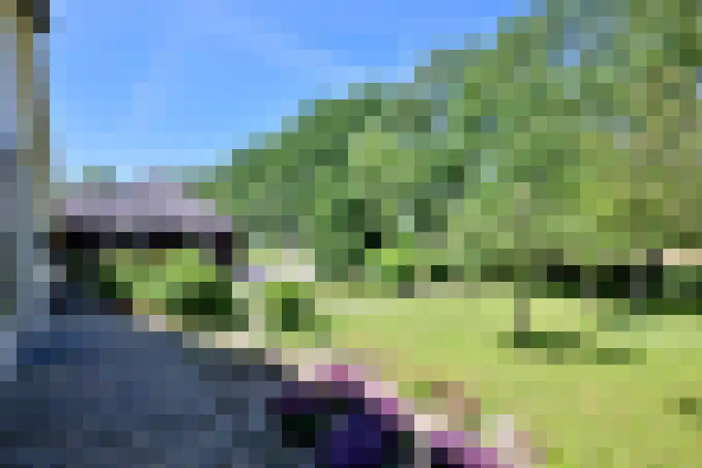 Hamsveldsezijweg 4 Vorden thumbnail 54