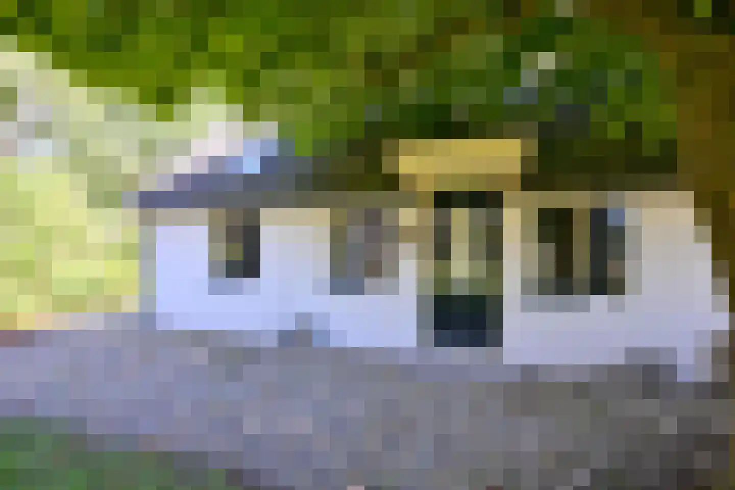 Hamsveldsezijweg 4 Vorden thumbnail 8