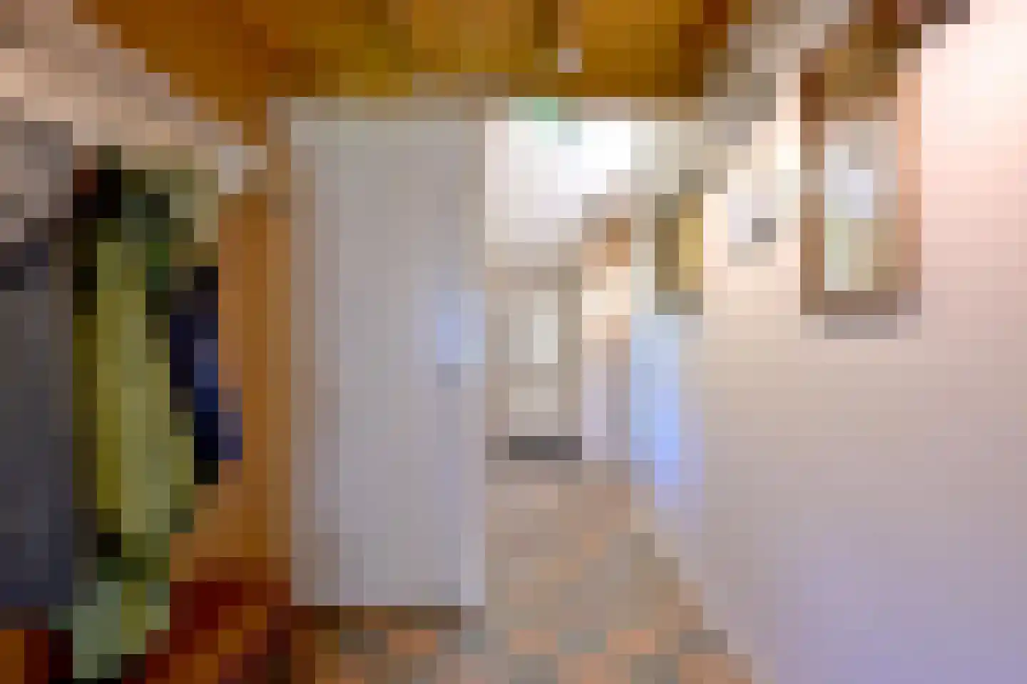 Hamsveldsezijweg 4 Vorden thumbnail 9