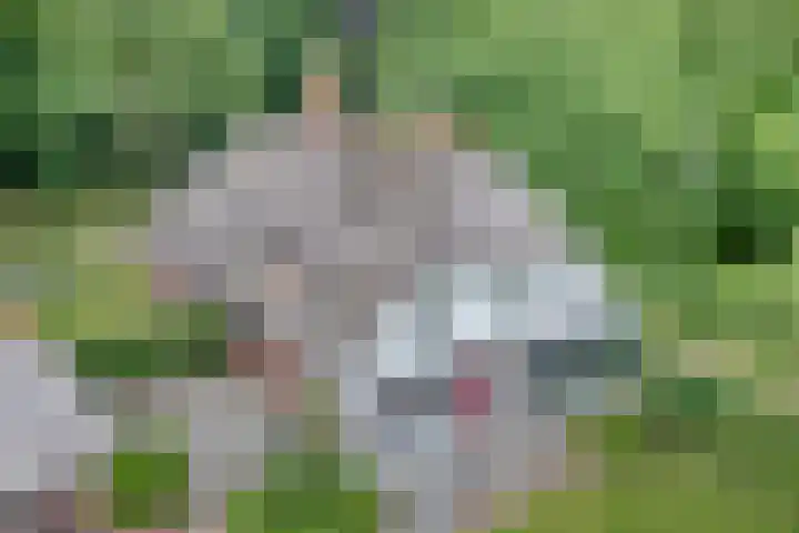 Hamveld 3 in Wijster