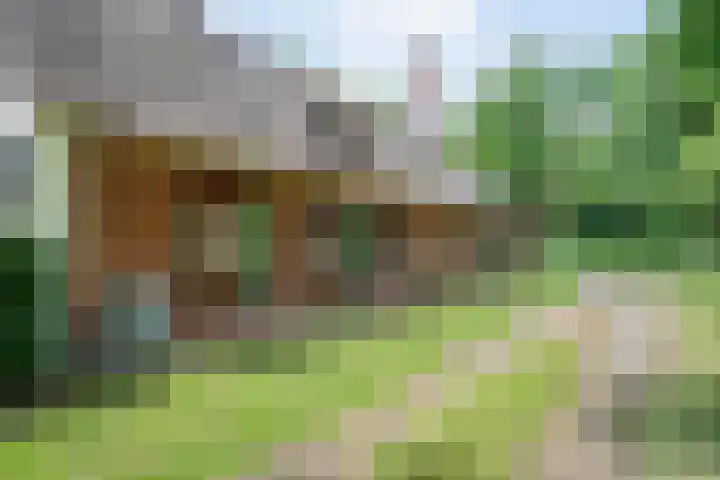 Hamveld 3 Wijster thumbnail 10