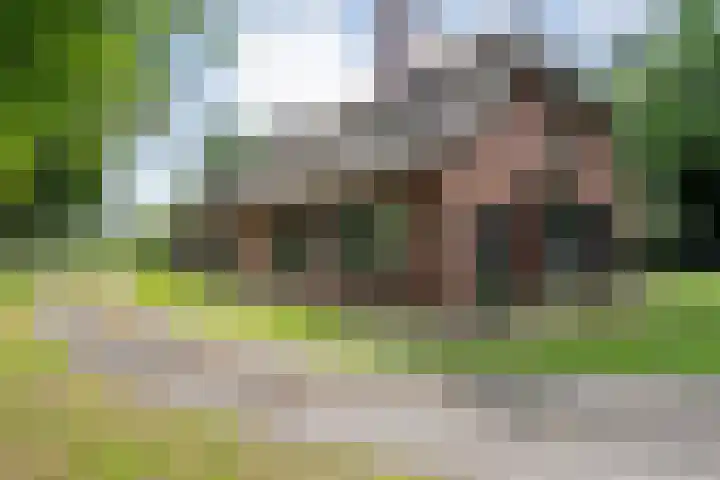 Hamveld 3 Wijster thumbnail 11