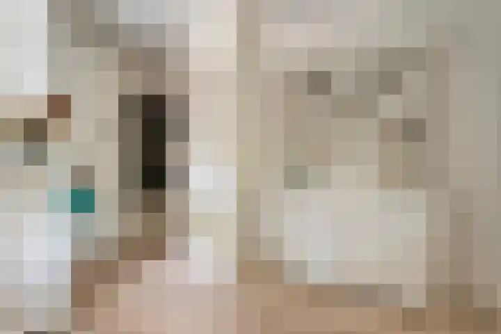 Hamveld 3 Wijster thumbnail 14