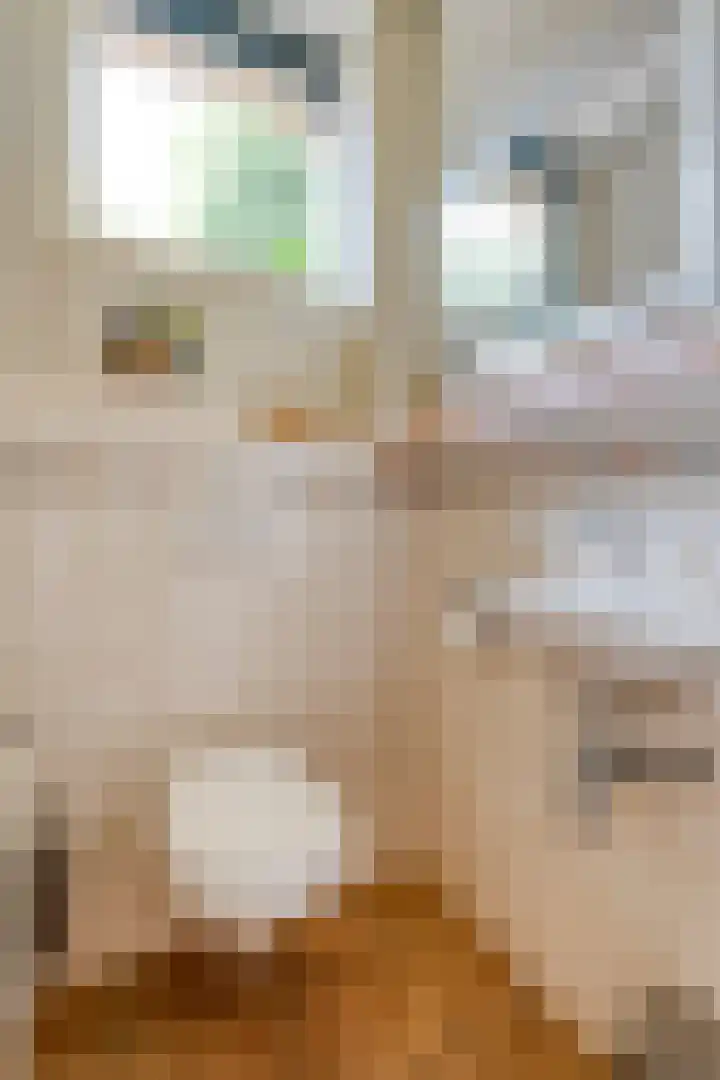 Hamveld 3 Wijster thumbnail 15