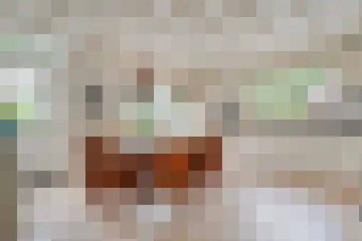 Hamveld 3 Wijster thumbnail 19