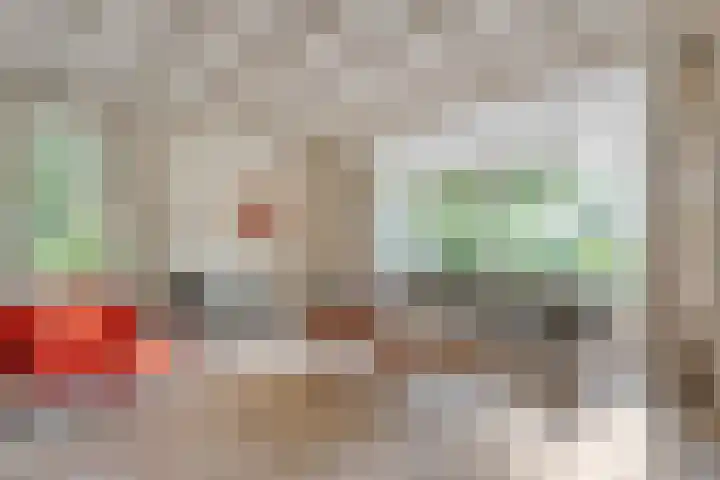 Hamveld 3 Wijster thumbnail 20