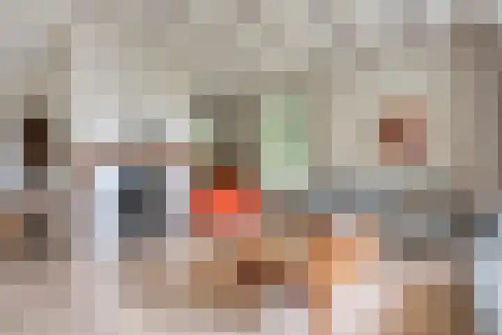 Hamveld 3 Wijster thumbnail 21