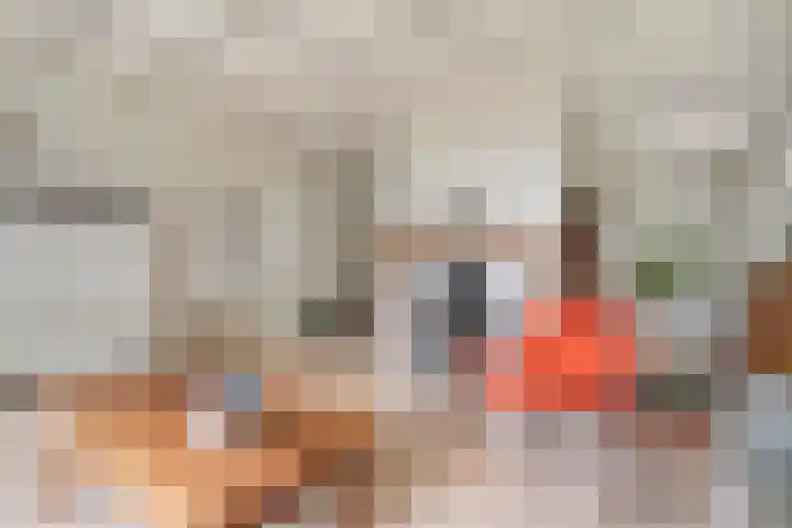 Hamveld 3 Wijster thumbnail 22