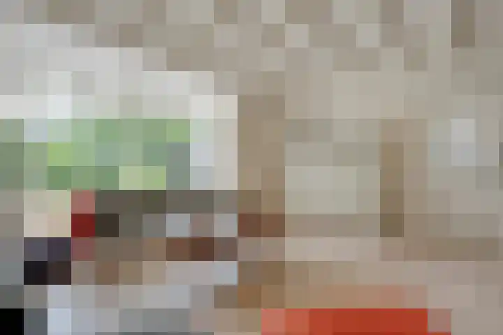 Hamveld 3 Wijster thumbnail 26