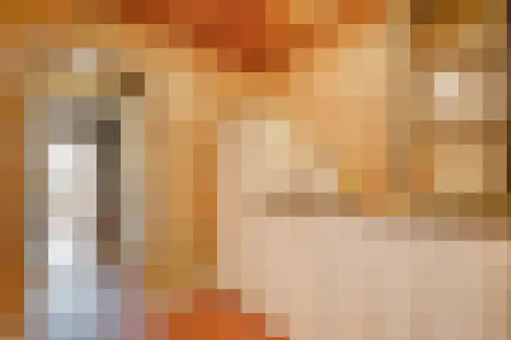 Hamveld 3 Wijster thumbnail 27