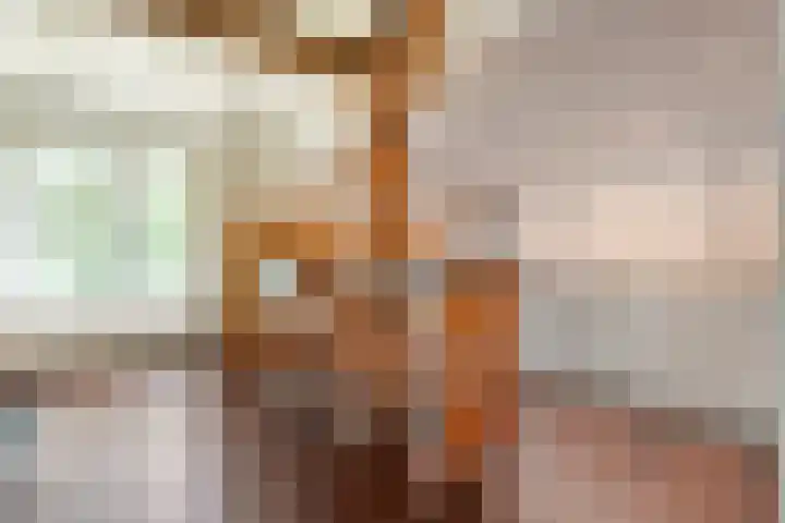 Hamveld 3 Wijster thumbnail 29