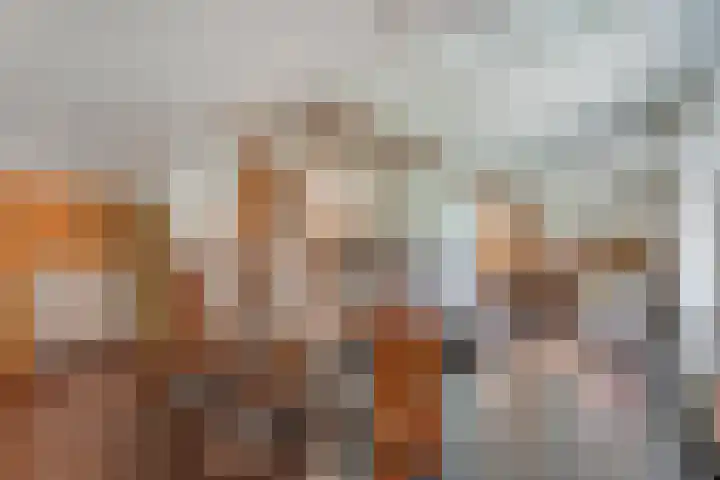 Hamveld 3 Wijster thumbnail 30
