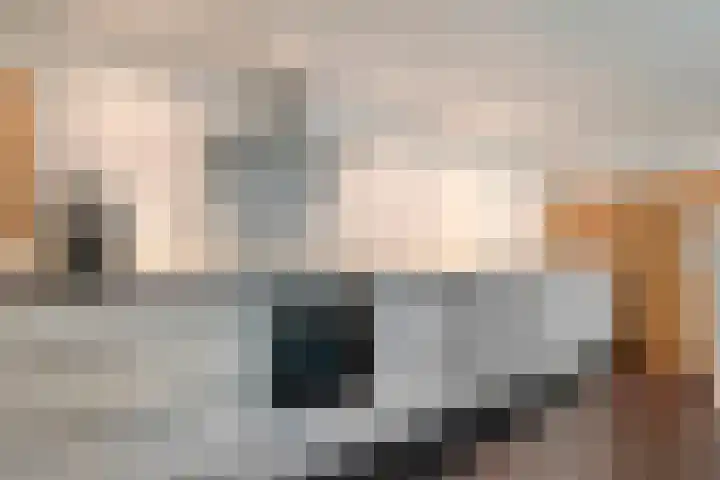 Hamveld 3 Wijster thumbnail 31