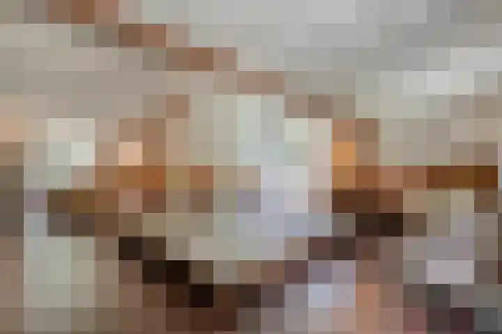 Hamveld 3 Wijster thumbnail 32