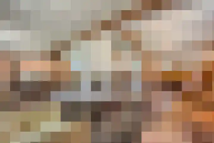 Hamveld 3 Wijster thumbnail 33