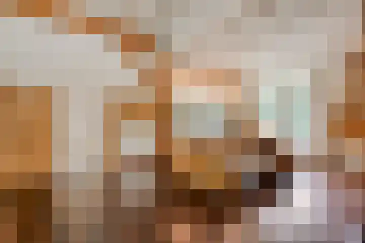 Hamveld 3 Wijster thumbnail 38