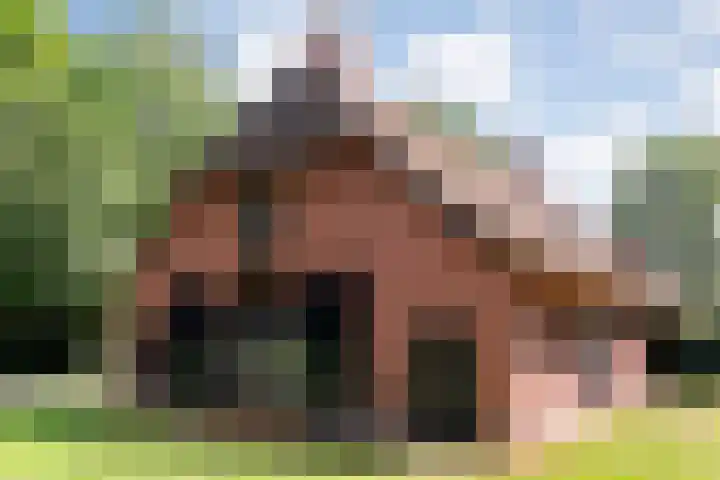 Hamveld 3 Wijster thumbnail 4