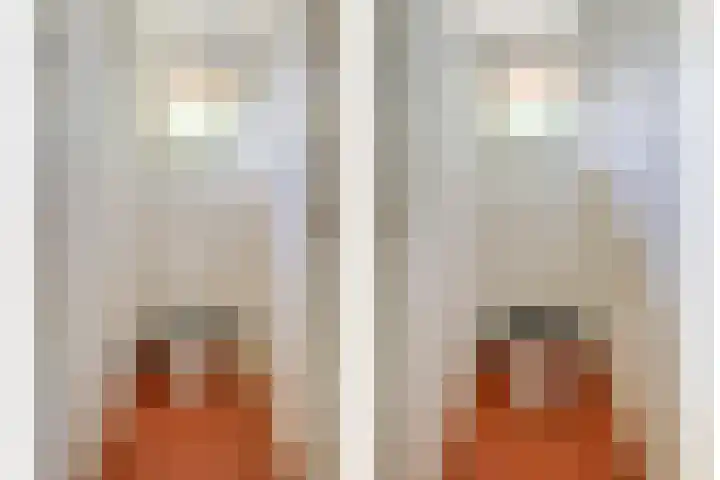 Hamveld 3 Wijster thumbnail 42