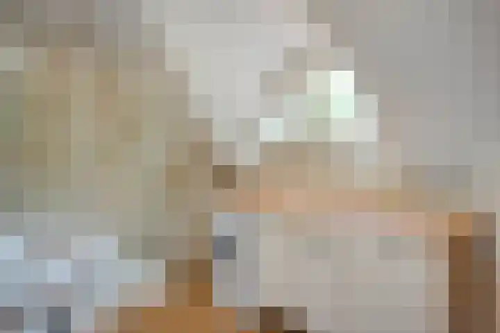 Hamveld 3 Wijster thumbnail 47
