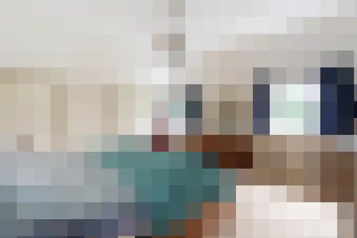 Hamveld 3 Wijster thumbnail 48
