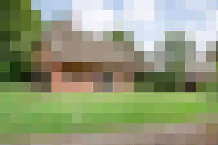 Hamveld 3 Wijster thumbnail 5