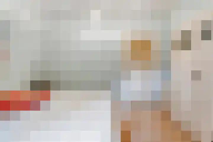 Hamveld 3 Wijster thumbnail 51