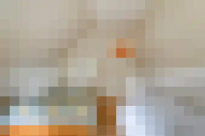 Hamveld 3 Wijster thumbnail 53