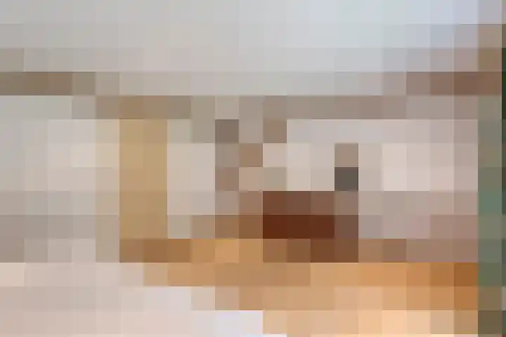 Hamveld 3 Wijster thumbnail 57